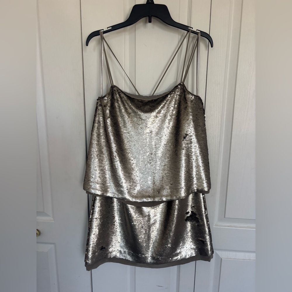 Banana Republic Silver Sequin Dress